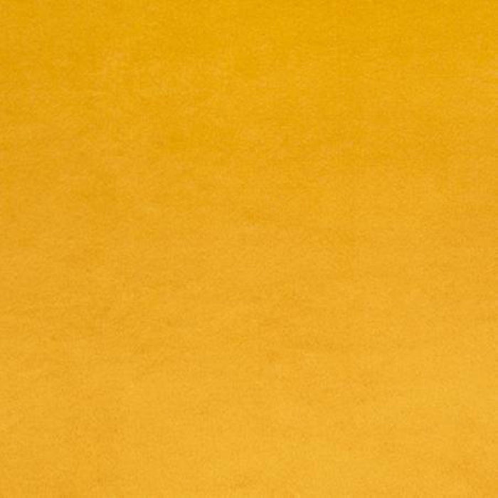90In - Wide Backing - Gold - Cuddle - Shannon Fabrics - C3-Golde-90In