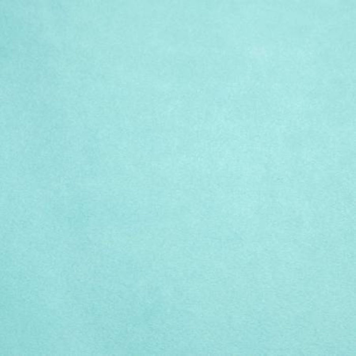 90In - Wide Backing - Saltwater Solid - Cuddle - Shannon Fabrics - C3-Salt-90In