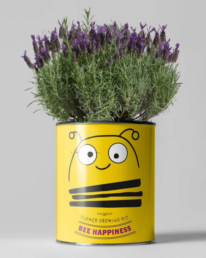 Bee Happiness - Flower Growing Kit