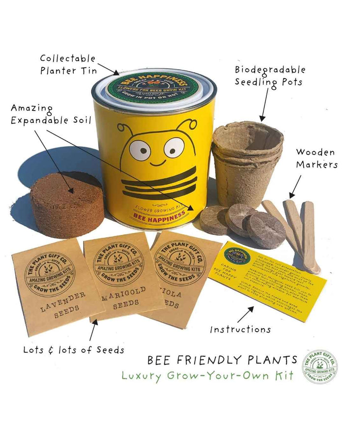 Bee Happiness - Flower Growing Kit
