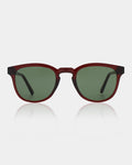 Brown Transparent Bate Sunglasses
