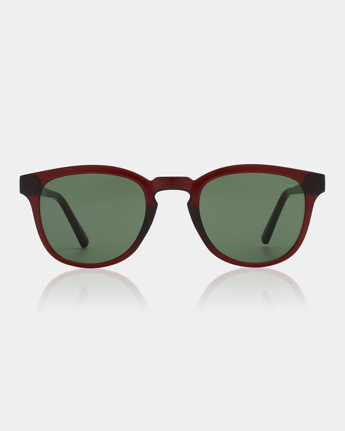 Brown Transparent Bate Sunglasses