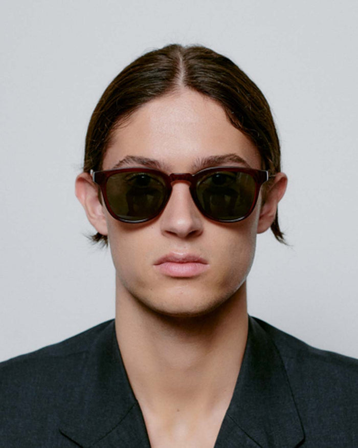 Brown Transparent Bate Sunglasses