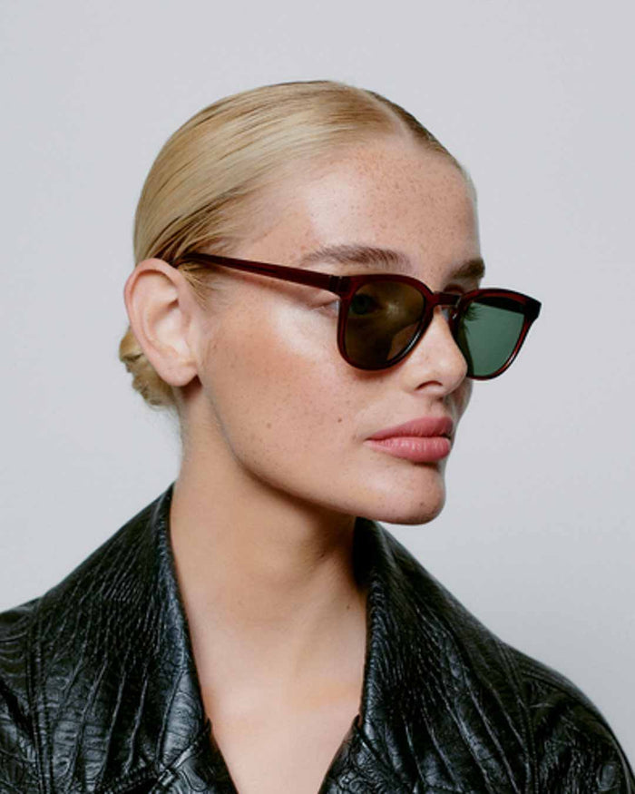 Brown Transparent Bate Sunglasses