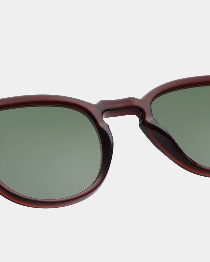 Brown Transparent Bate Sunglasses