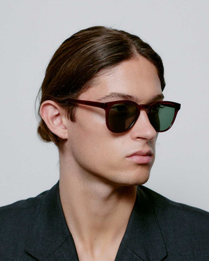 Brown Transparent Bate Sunglasses