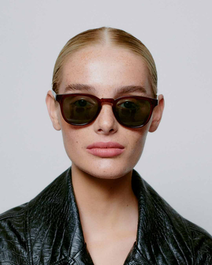 Brown Transparent Bate Sunglasses
