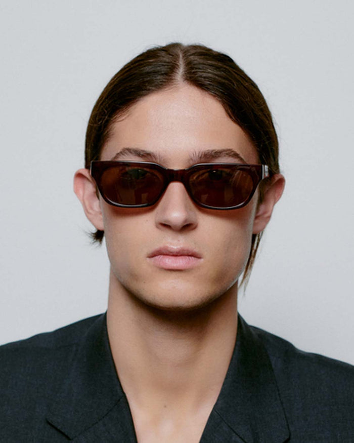 Brown/Demi Light Brown Transparent Bror Sunglasses