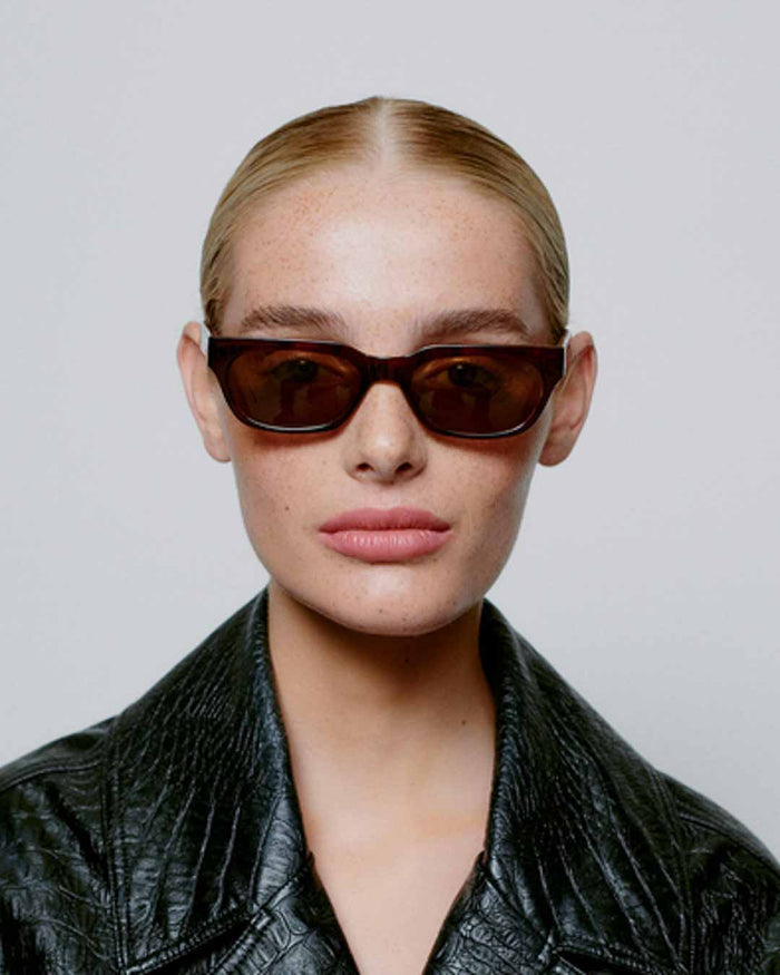 Brown/Demi Light Brown Transparent Bror Sunglasses