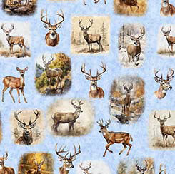 Buck Wild - Blue -Deer Vignettes- 30804B- Qt Fabrics