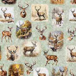 Buck Wild - Sage-  Deer Vignettes - 30804H- Qt Fabrics