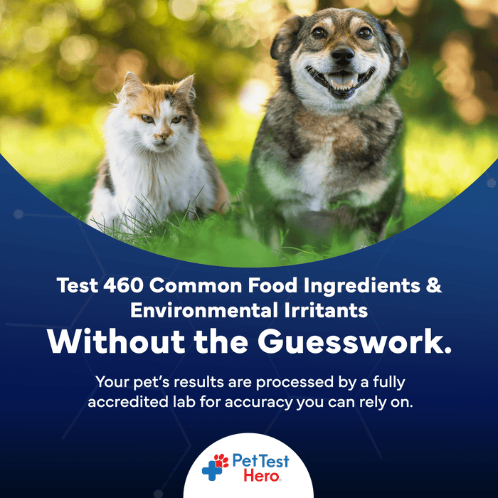 Comprehensive Pet Sensitivity Test - Better Life Science