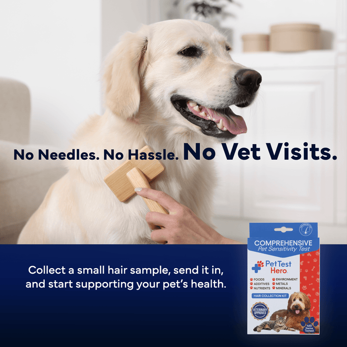 Comprehensive Pet Sensitivity Test - Better Life Science