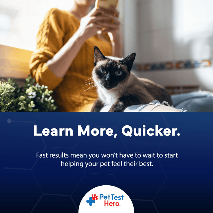 Comprehensive Pet Sensitivity Test - Better Life Science