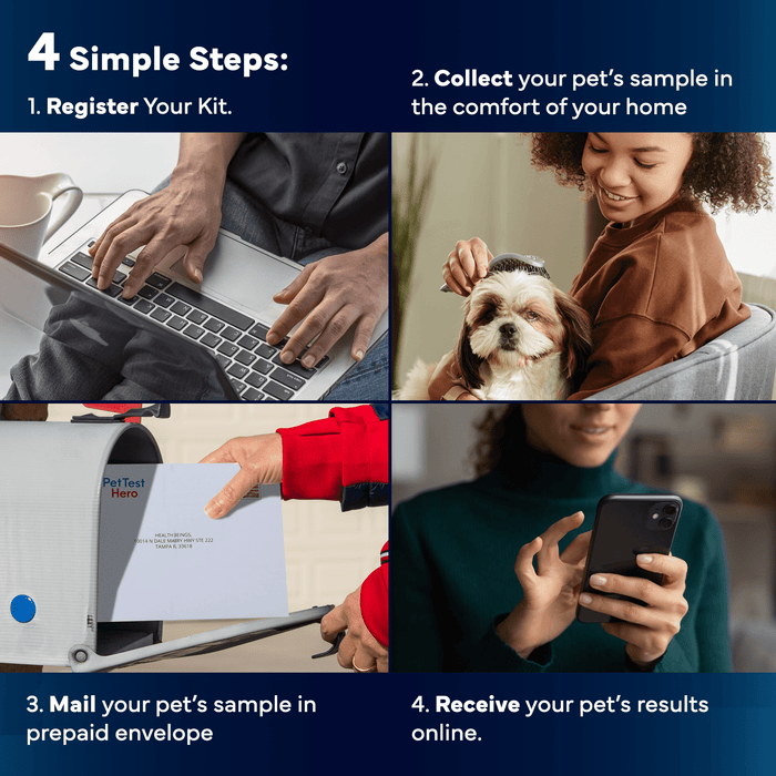 Comprehensive Pet Sensitivity Test - Better Life Science