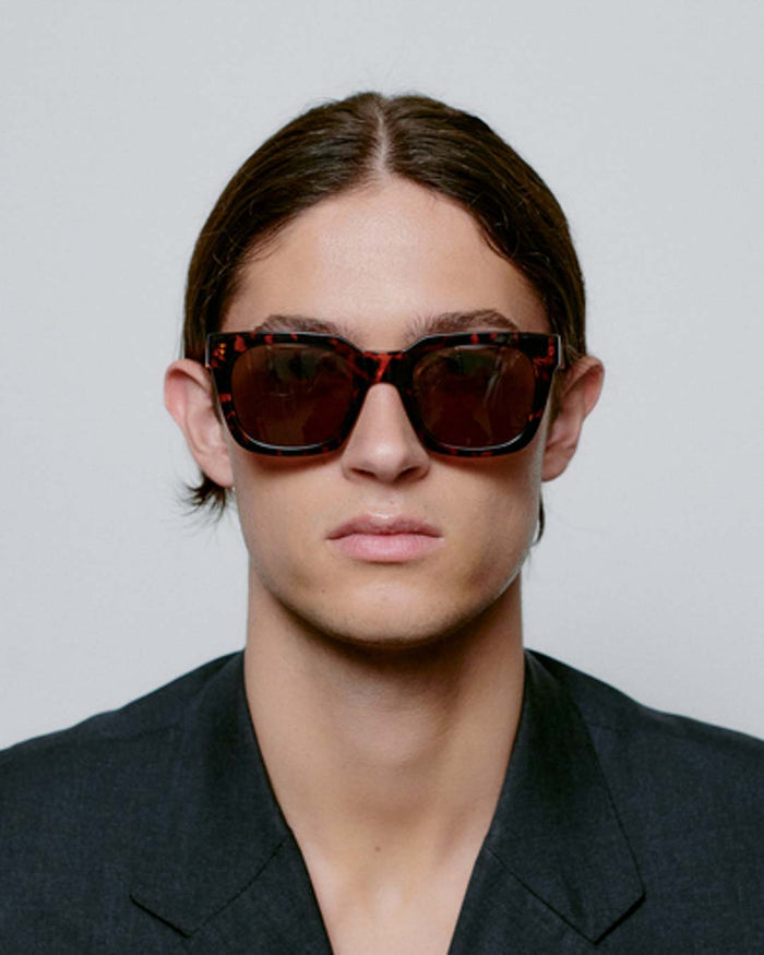 Demi Tortoise Nancy Sunglasses