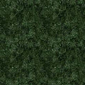 Dinoroars! - 30815F - Green-  Foliage Texture - Qt Fabrics