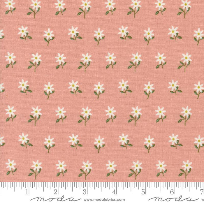 Imaginary Flowers - Blossom - 48384 18 - Moda