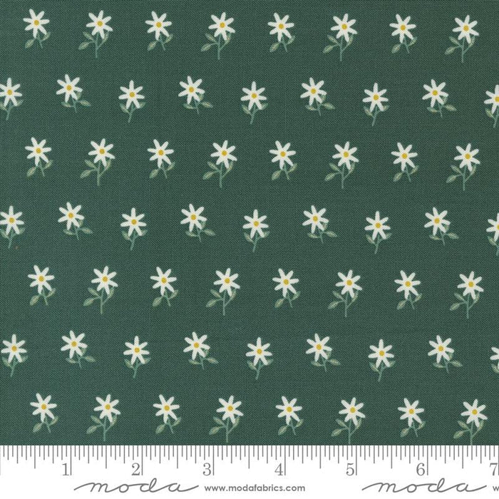 Imaginary Flowers - Spruce -  48384 16 -  Moda