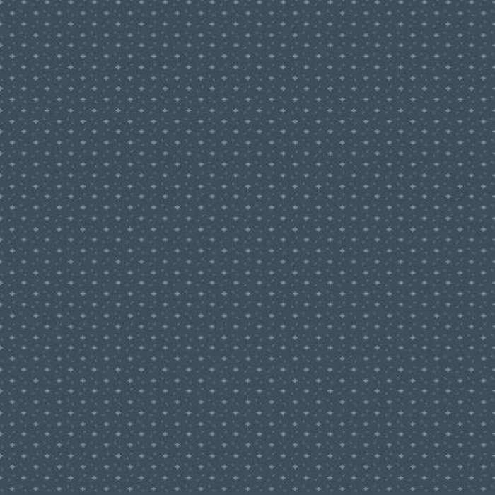Ivy Reese - Ditsy Navy - Riley Blake -C16606R-NAVY