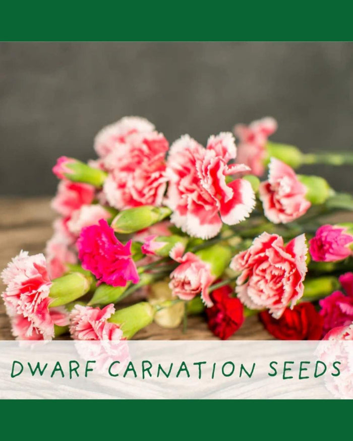 Just Married - Flower Growing Kit