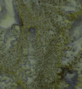 Kota Batiks - Shamrock - Moda    41000 66