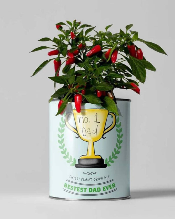 N.1 Dad - Flower Growing Kit