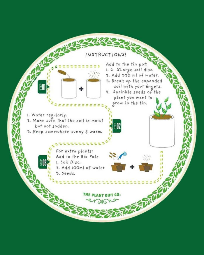 N.1 Dad - Flower Growing Kit
