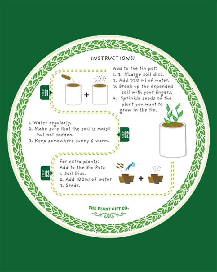 Purrfect Treat - Flower Growing Kit