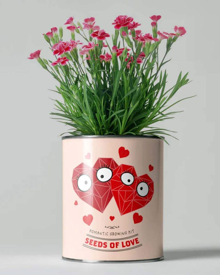 Seeds of Love - Flower Growing Kit