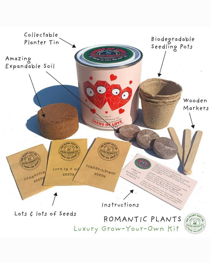 Seeds of Love - Flower Growing Kit