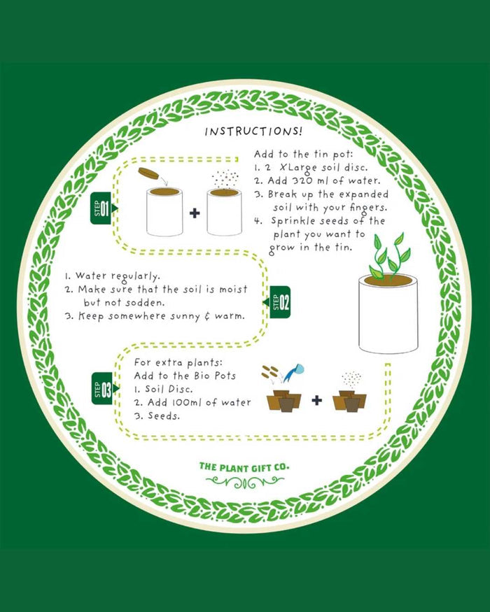 Seeds of Love - Flower Growing Kit
