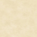 Shadow Play  - 513M-E4 - Cream Tonal
