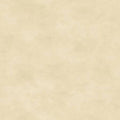 Shadow Play - 513M-Wt2 - Cream Tonal - Maywood Studio