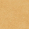 Shadow Play - Desert Sand  - Maywood Studio - MAS513-TS2