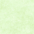 Shadow Play - Julep Mint  - Maywood Studio - MAS513-GW2