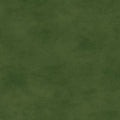 Shadow Play - Mas513-G21 - Green Shadow - Maywood Studio