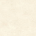 Shadow Play - Mas513-W2  - Off White   - Maywood Studio