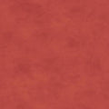 Shadow Play - Poppy Tonal-513M-R6-Maywood Studio