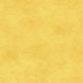 Shadow Play - Sunshine Yellow Tonal - Maywood Studio - 513M-Ss