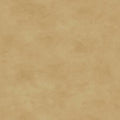 Shadow Play - Warm Tan Tonal - Mas513-Ts