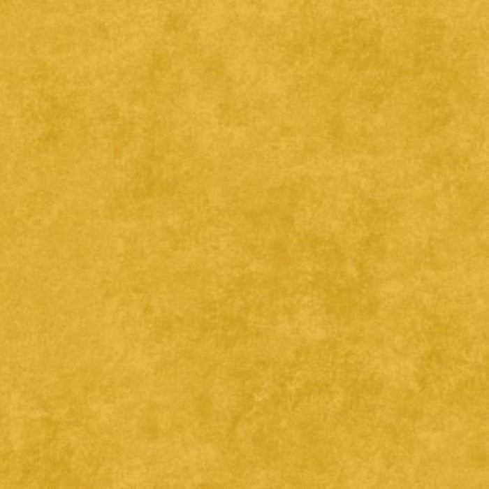 Shadow Play  -513M-Ss3 - Leo Gold - Maywood Studio