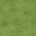 Shadow Play -Green - Maywood Studio - Mas513-Gg5
