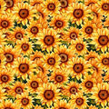 Sunflower Serenade - Packed Sunflowers - QT Fabrics - 31804-G