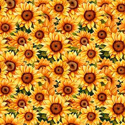 Sunflower Serenade - Packed Sunflowers - QT Fabrics - 31804-G