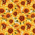 Sunflower Serenade - Packed Sunflowers - QT Fabrics - 31804-Z108