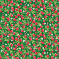 The World of Strawberry - Shortcake Strawberries  - Green
