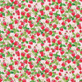 The World of Strawberry - Shortcake Strawberries - Pink