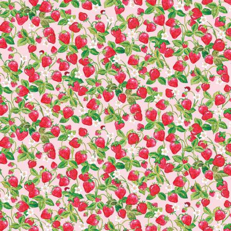 The World of Strawberry - Shortcake Strawberries - Pink