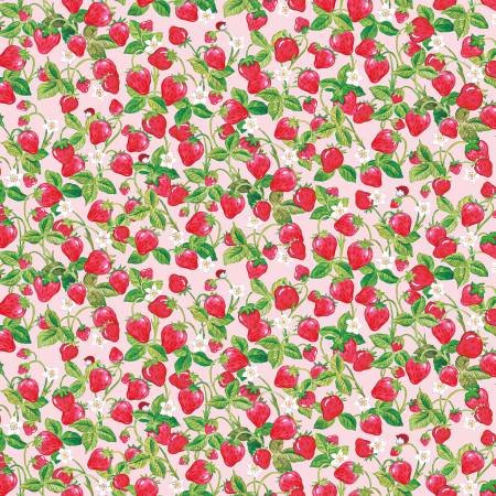 The World of Strawberry - Shortcake Strawberries - Pink
